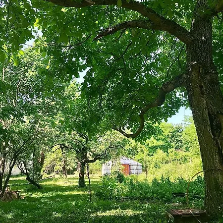 Batul Kert Luxury tent
